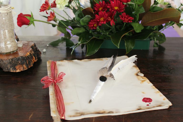 zcamera-20171112_114336